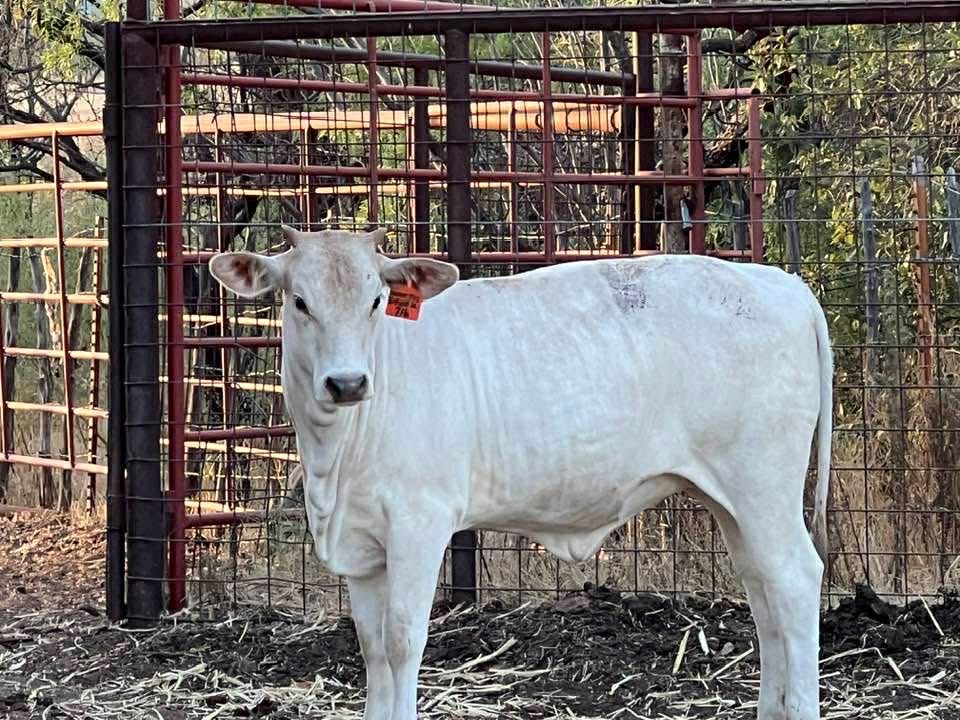 1-5 Hunt U Down X Hardy 140