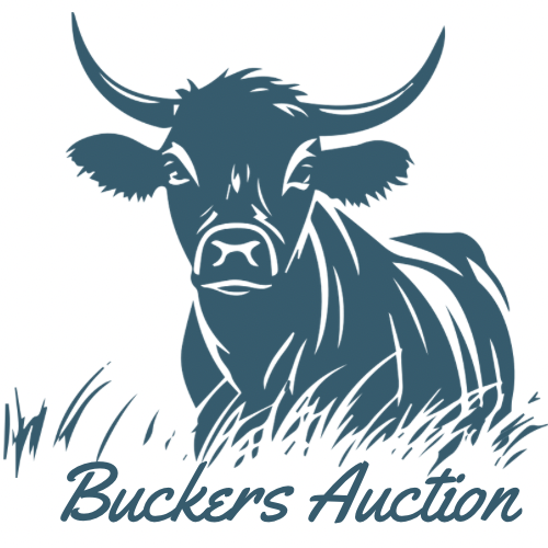 Buckers Auction
