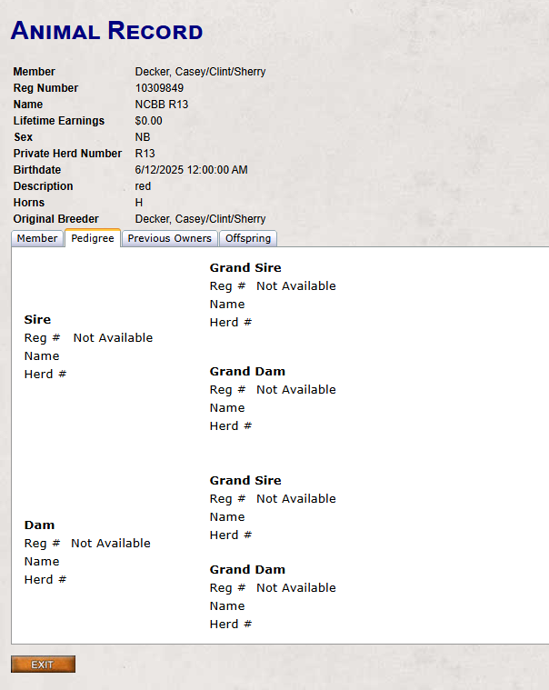 R13 - Maiden Eligible Bull  Hoochie Coochie X Show Pony daughter