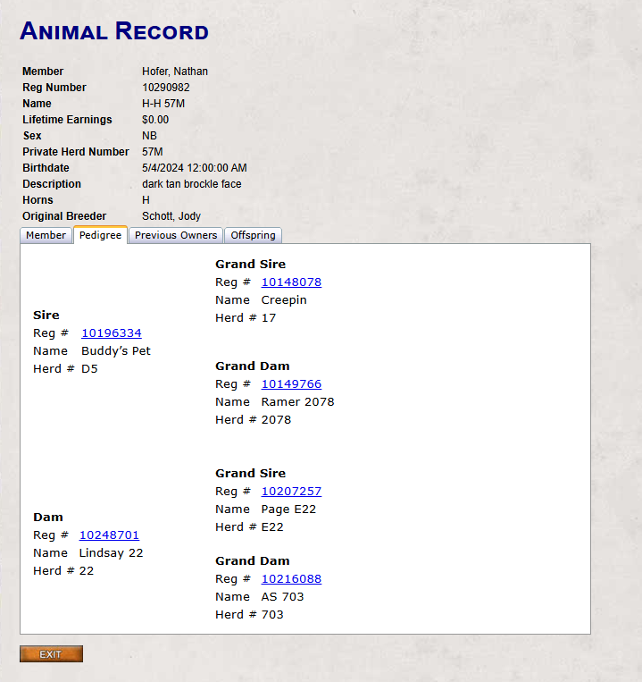 57M - 2 year old bucking bull