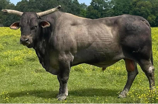 1-5 Hunt U Down X Hardy 140