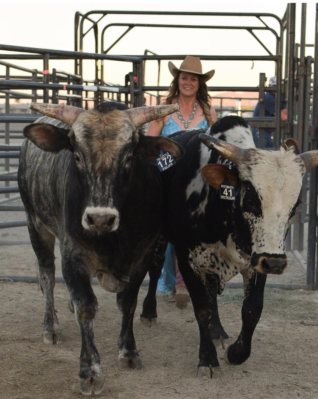 Two large bulls with a person in a cowboy hat standing between them in a pen.