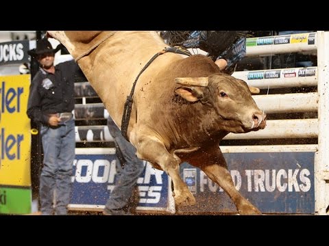 1 Margy Time X Flaming Abigail